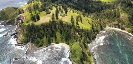 Shearwater - Norfolk Island  T (PBH4 00 18999)